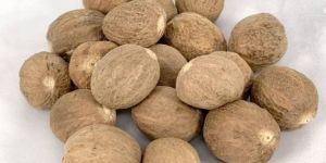 Nutmeg Jaiphal