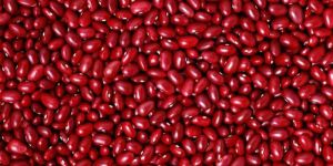 Red Kidney Beans