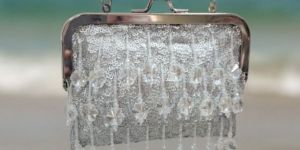 Ladies Stylish Clutch