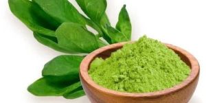 Spinach Powder