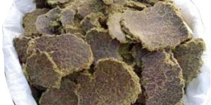 Cotton Seed Oil Cake