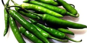 Organic Green Chilli