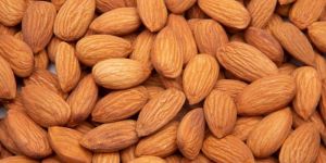 Regular Almonds