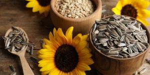 Sunflower Seeds