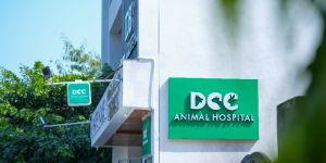 Best Dog Vet in Jaipur - DCC Animal Hospital
