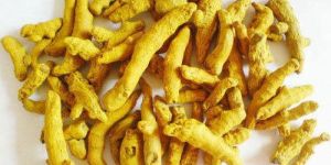 Natural Turmeric Finger