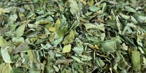 Dried Moringa Leave