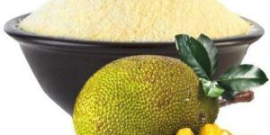 Jackfruit Powder