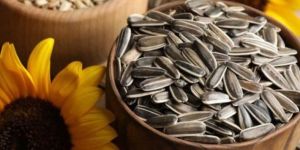 Sunflower Seeds