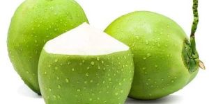 Pollachi Tender Coconut