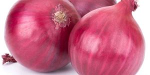 Fresh Medium Size Red Onion