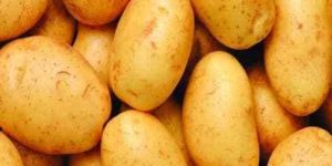 Fresh Potatoes Kuhri Bahar(3797)