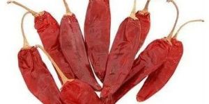 Guntur Dry Red Chilli