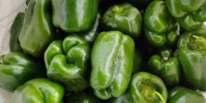 Haree Shimla Mirch(Green Capsicum)