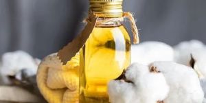 Cotton Seed Oil