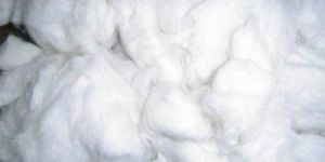 Raw Cotton