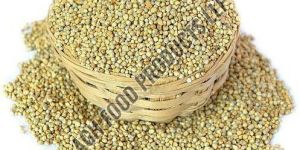 Pearl Millet