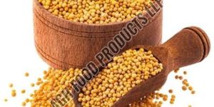 Yellow Mustard Seeds