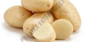 Organic Fresh Potato