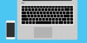 Ledger Scrutiny Service