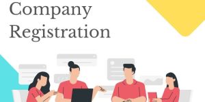 Private Limited Company Formation Service