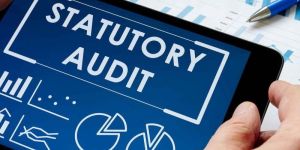 Statutory Audit Service