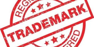 Trademark Application Service