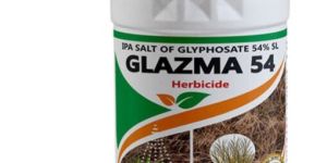 IPA Salt of Glyphosate 54% SL Herbicide