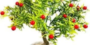 Plastic Artificial Cherry Plant