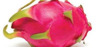 Fresh Dragon Fruit