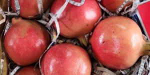 Fresh Pomegranate
