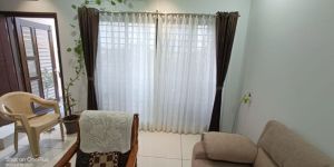 Plain Window Curtain