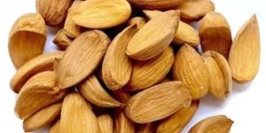 Mamra Almond