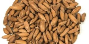 Pine Nuts