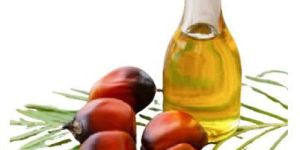 Palm Oil