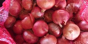 Fresh Pink Onion