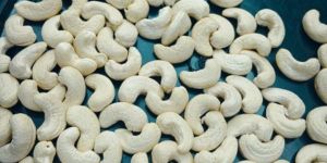 Cashew Nuts