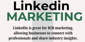 LinkedIn Marketing Service