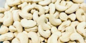 A320 Plain Cashew Nuts