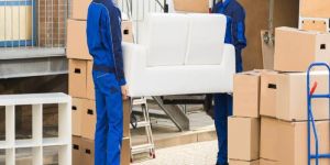 Furniture Shifting Services