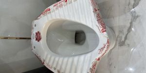 Engloindian Toilet Seat