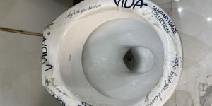 Toilet Seats