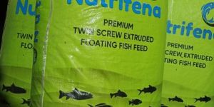 Fish Feed