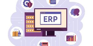 ERP Software Development
