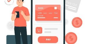 Collection Software Development