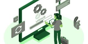 Software Customization