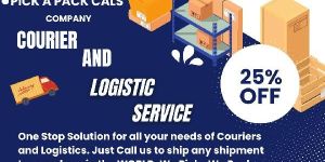 Domestic Courier Services