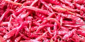 Dried Red Chilies