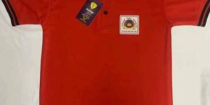 School Cotton Half Sleeves T Shirt