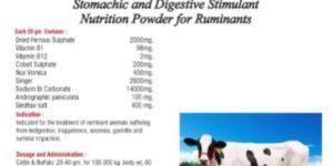 Rumen Top Animal Feed Supplement